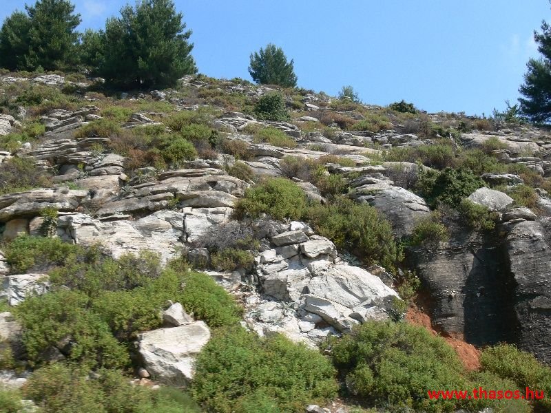 balazsh 2011